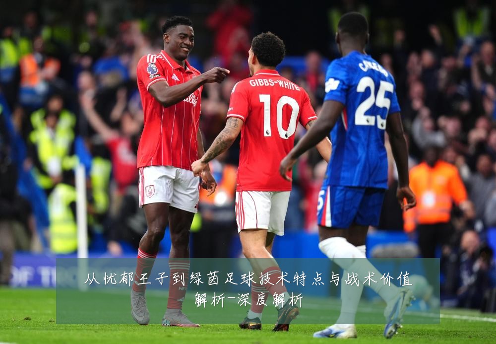 从忧郁王子到绿茵足球技术特点与战术价值解析-深度解析